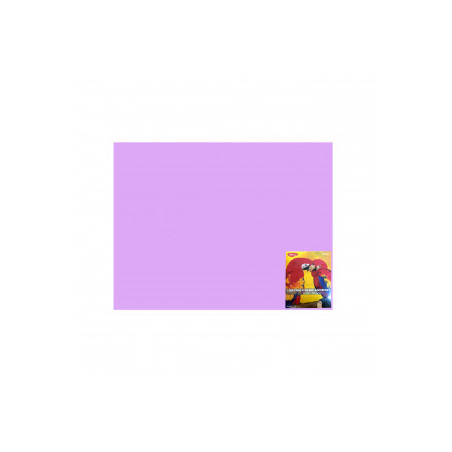 kidsmagicstore.ro|CARTON COLOR CN240L LILA 46X64 10 COLI DACO 240G/MP55,58 lei50,03 leiNoutati