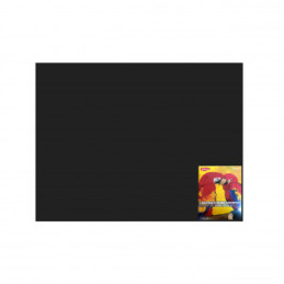 CARTON COLOR CN240N NEGRU 46X64 10 COLI DACO 240G/MP