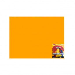 CARTON COLOR CN240P PORT. 46X64 10 COLI DACO 240G/MP