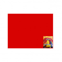 CARTON COLOR CN240RC ROSU CR 46X64 10COLI DACO 240G/MP