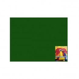 CARTON COLOR CN240VI VERDE I. 46X64 10 COLI DACO 240G/MP