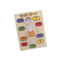 Puzzle lemn educativ - Invata corpul uman, 9 piese, 3+ ani, Colorarte, 2KB