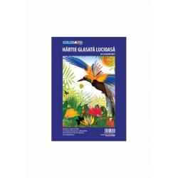 Hartie glasata lucioasa 238x338 COLORARTE 10 coli/set